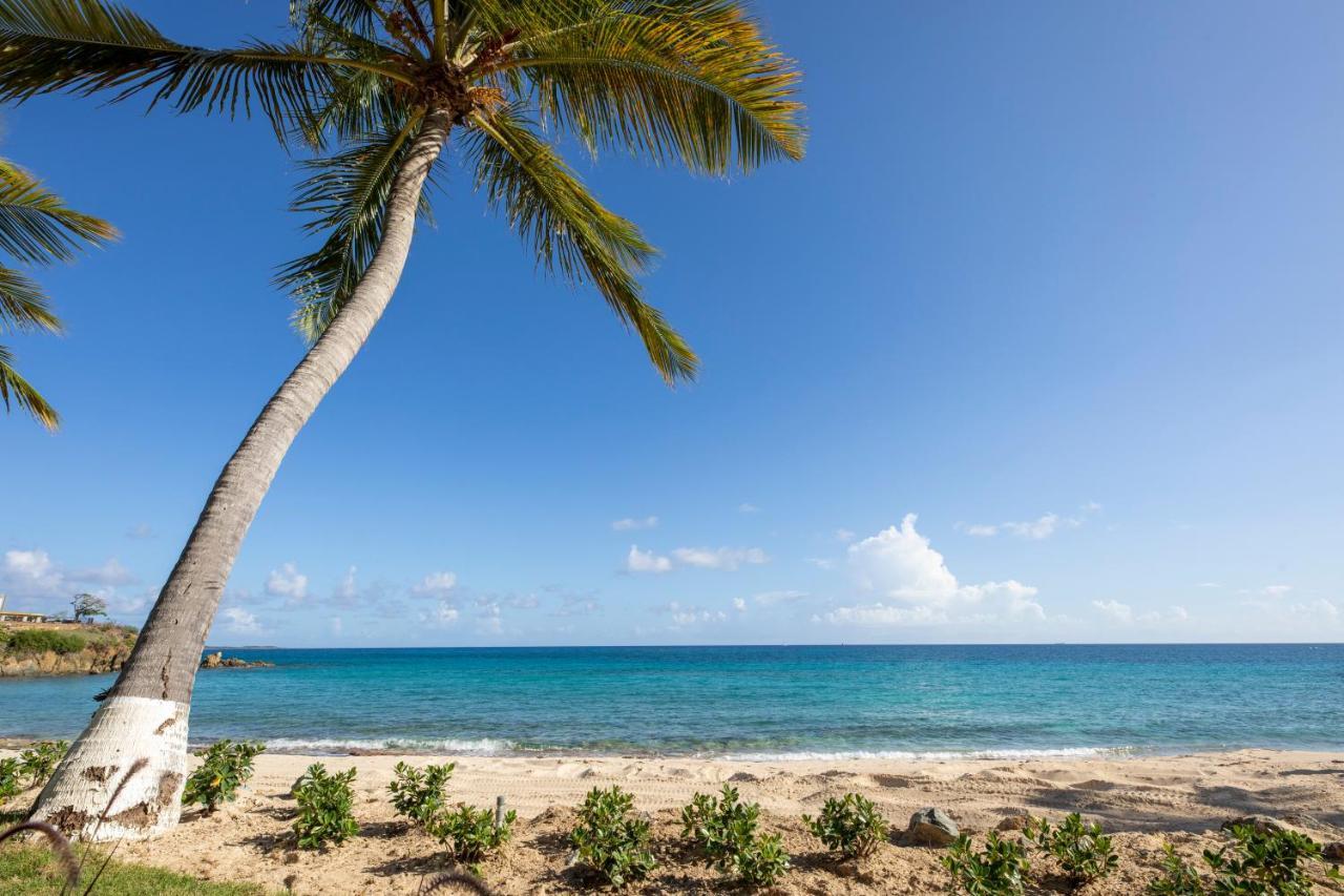 Limetree Beach Resort By Club Wyndham Bolongo Экстерьер фото